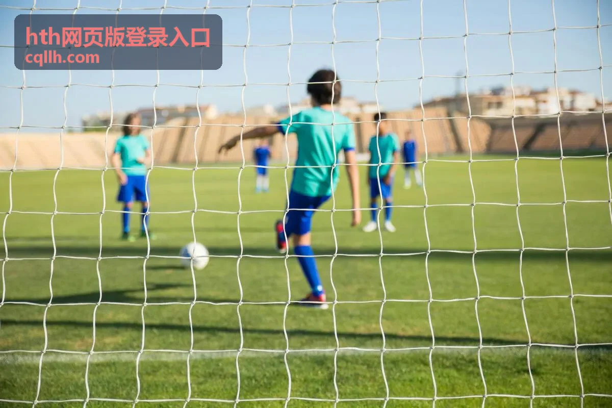 在浏览器中输入 hth网页版登录入口地址并完成登录